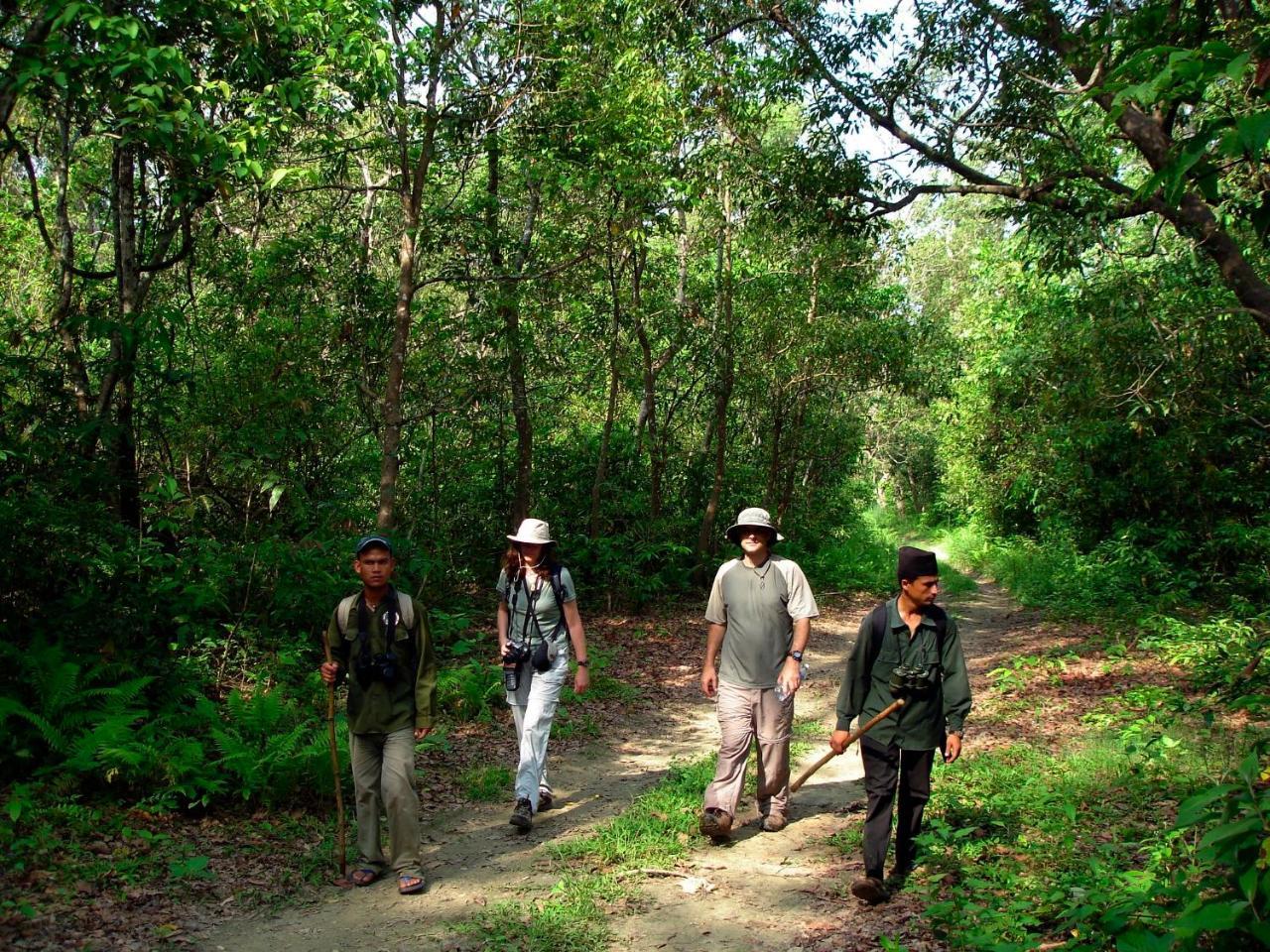 Park Safari Resort Sauraha Zewnętrze zdjęcie